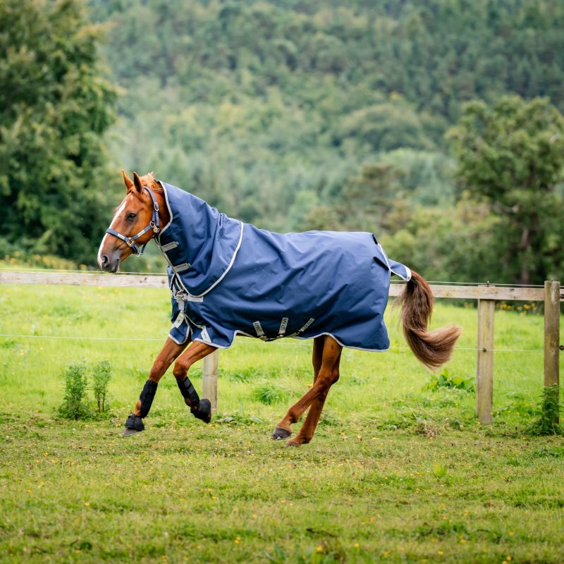Couverture cheval extérieur Amigo Bravo 12 Plus 1200D 0g - Horseware