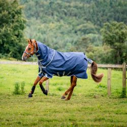 Couverture cheval extérieur Amigo Bravo 12 Plus 1200D 0g - Horseware