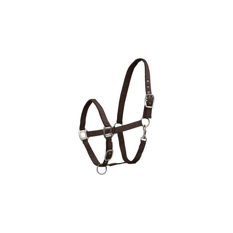 Licol cheval nylon doublé Satin - Waldhausen