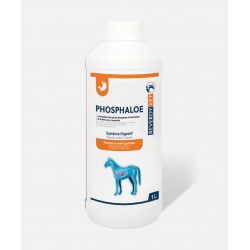 Phosphaloe - Ulcère cheval - Reverdy Vet