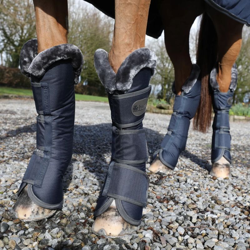 Protections de transport cheval Show Line - Bucas