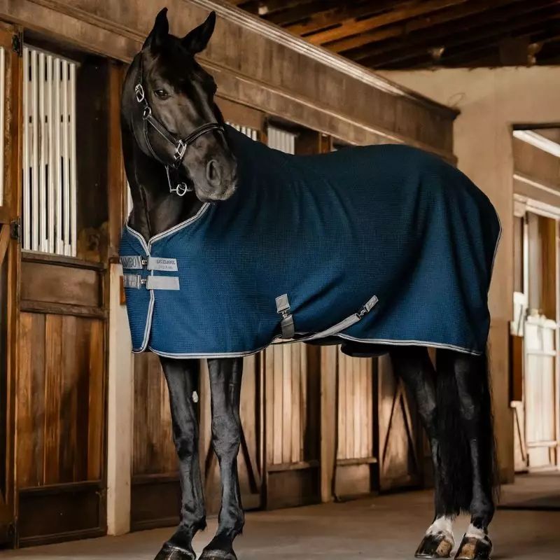 Chemise cheval nid d'abeille Rambo Techni-Waffle Cooler - Horseware