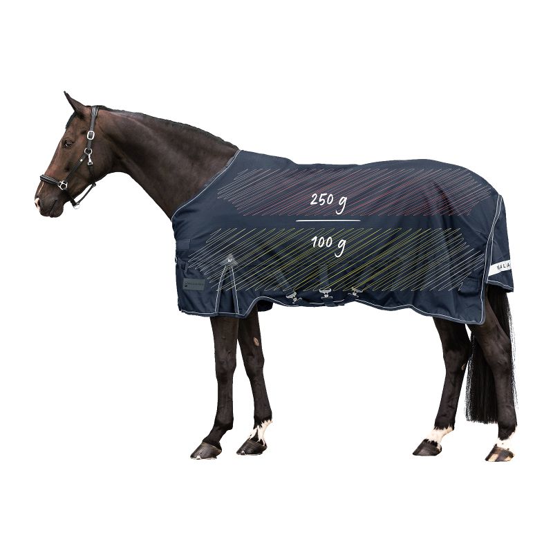 Couverture exterieur cheval Scandic Multi Layer 250/100g - Waldhausen