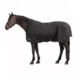 Couverture extérieur cheval Nordic Encolure Haute 100g - Waldhausen