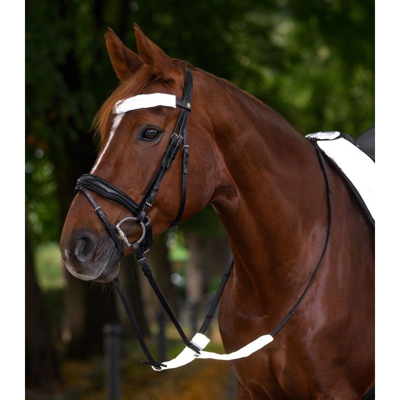 Set réfléchissant bridon cheval Reflex argent - Waldhausen