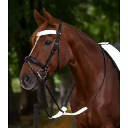 Set réfléchissant bridon cheval Reflex argent - Waldhausen