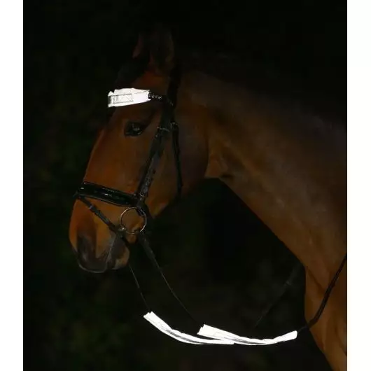 Set réfléchissant bridon cheval Reflex argent - Waldhausen