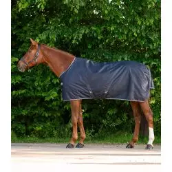 Couverture extérieur cheval Economic 100g - Waldhausen