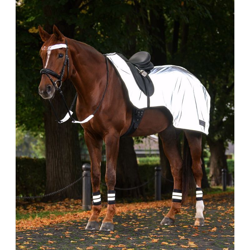 Couvre reins cheval réfléchissant Reflex - Waldhausen