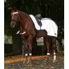 Couvre reins cheval réfléchissant Reflex - Waldhausen
