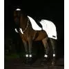 Couvre reins cheval réfléchissant Reflex - Waldhausen