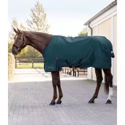 Couverture d'extérieur cheval Arctic Light 0 g - Waldhausen