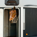 Equipements van et camion chevaux