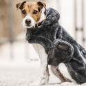 Manteau pour chien