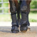 Protections Dressage