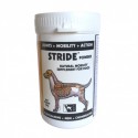 Trm Chien