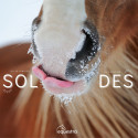 Soldes Equipement cheval