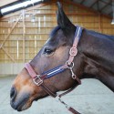 Equipement pour le cheval Antarès