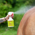 Spray anti-mouche cheval