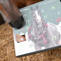 Calendrier de l'avent chevaux