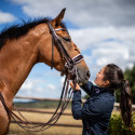 Brides de dressage