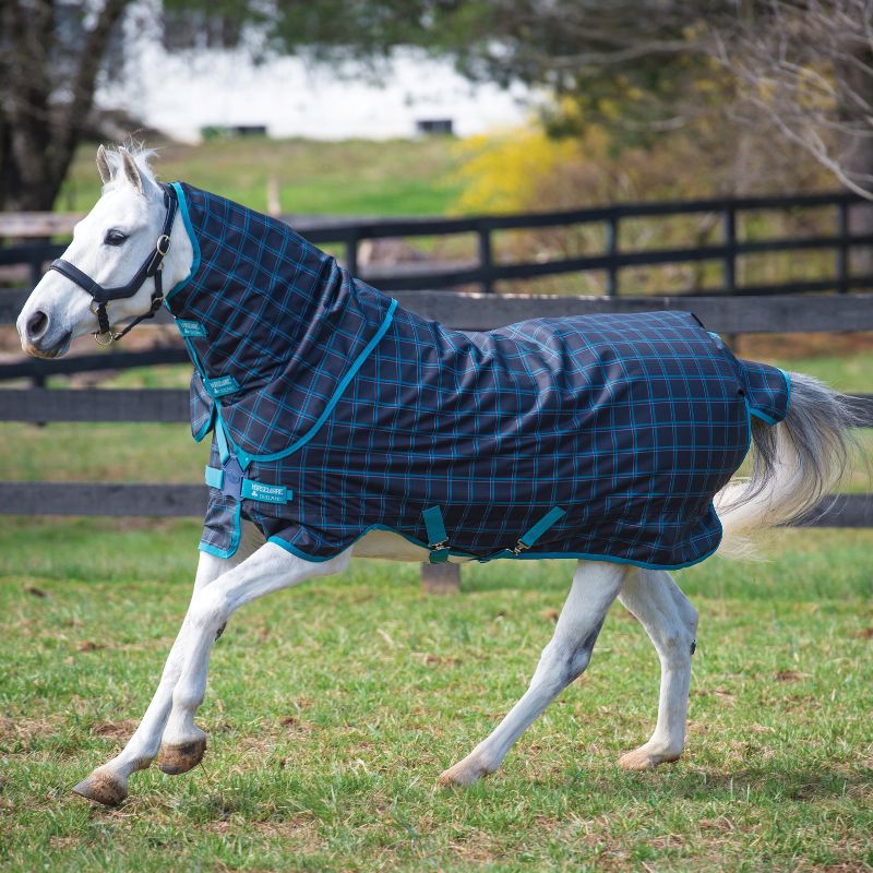 Couverture imperméable poney 50g Amigo Pony Plus Horseware - Equestra