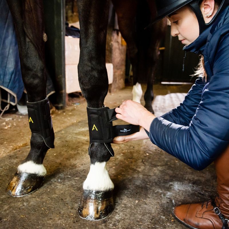 Guêtres cheval Adagio Horseware - Equestra