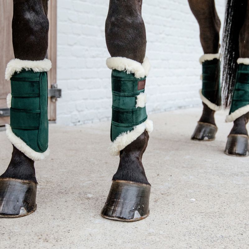 Guêtres cheval Brushing Velvet Contrast - Kentucky Horsewear