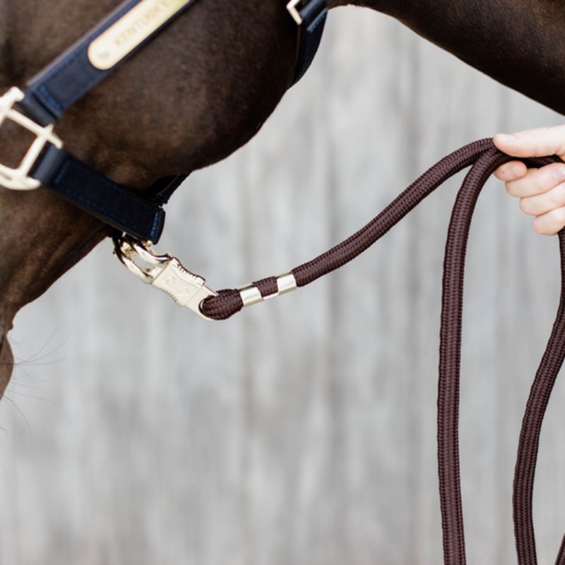 Longe d'attache cheval mousqueton anti-panique Kentucky Horsewear - Equestra
