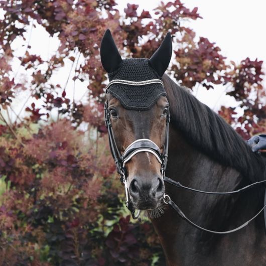 Bonnet anti-mouche cheval strass Wellington Sparkling - Kentucky Horsewear