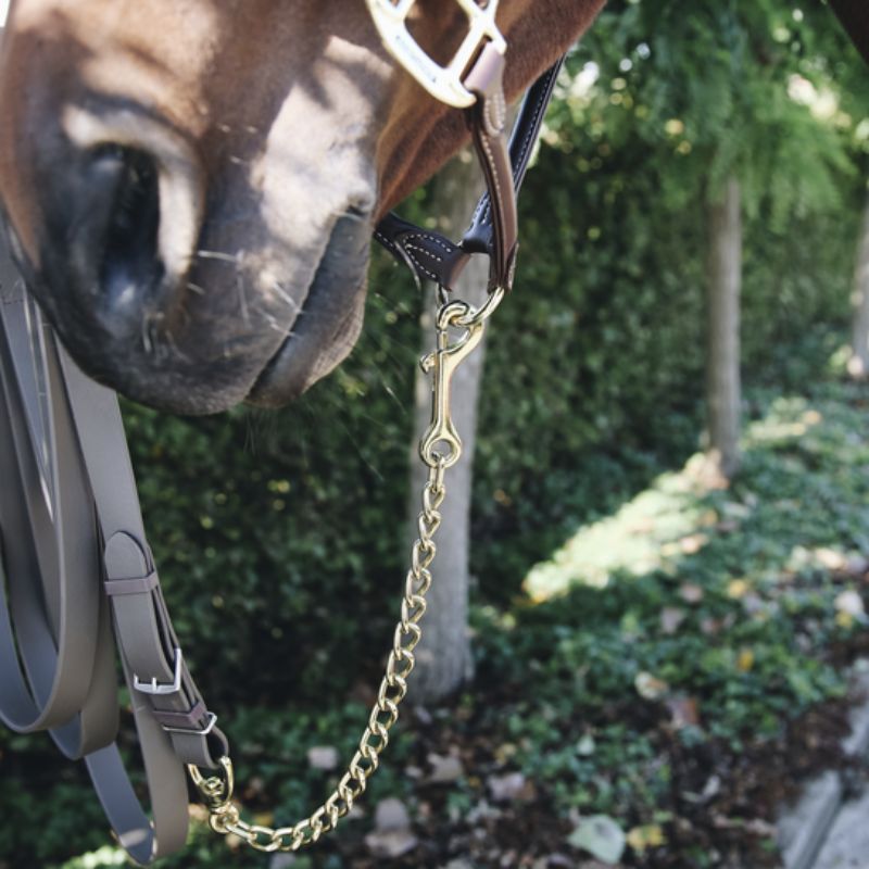 Chaînette longe cheval 60 cm Stallion Chain - Kentucky Horsewear