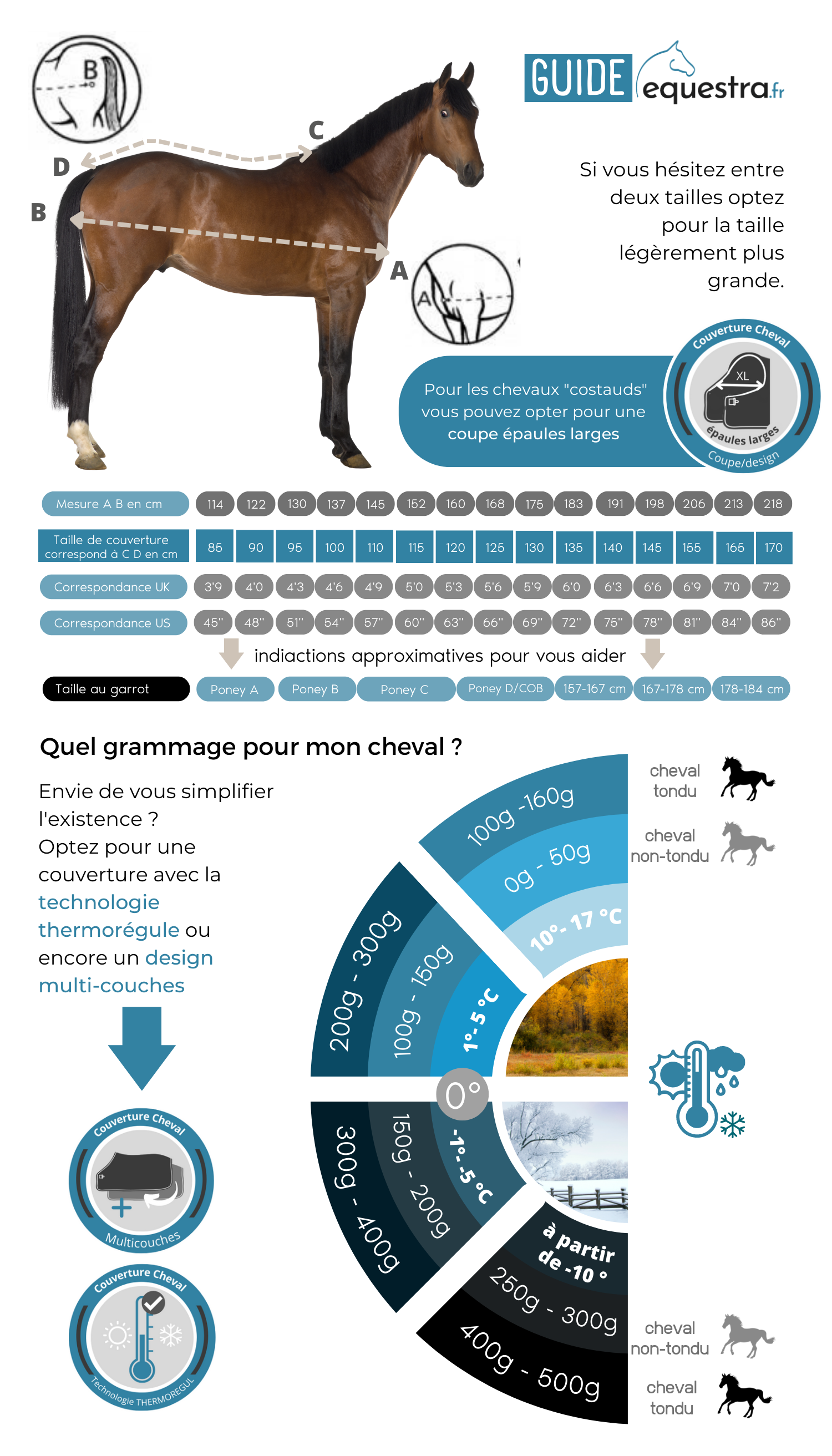 Couverture extérieur cheval 100g Economic Clip'in system - Waldhausen