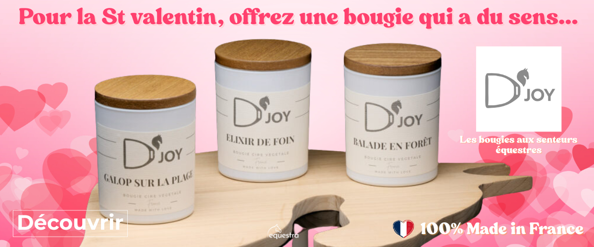 Bougie Djoy St Valentin cavaliere