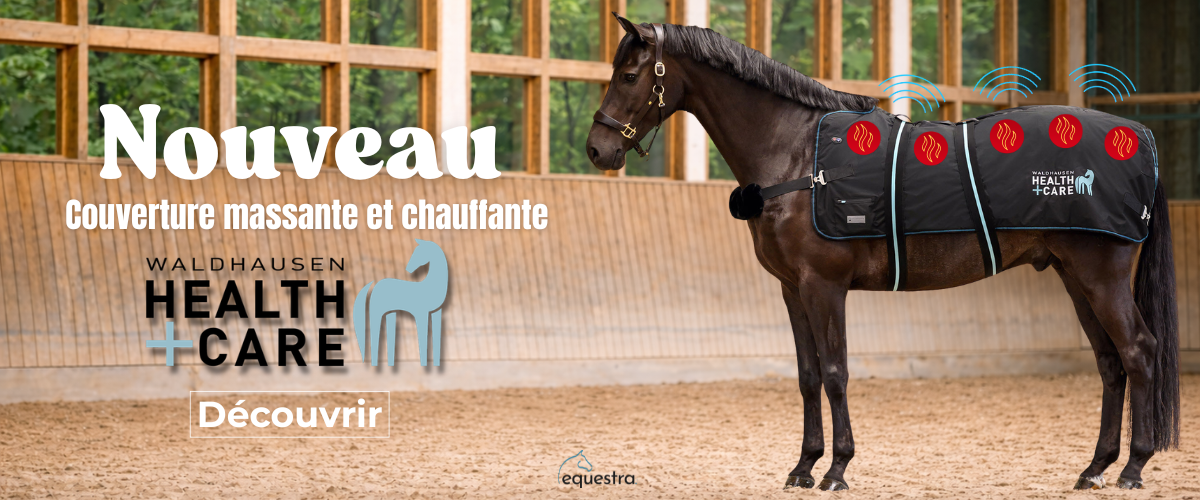 Chaussettes à paillettes équitation