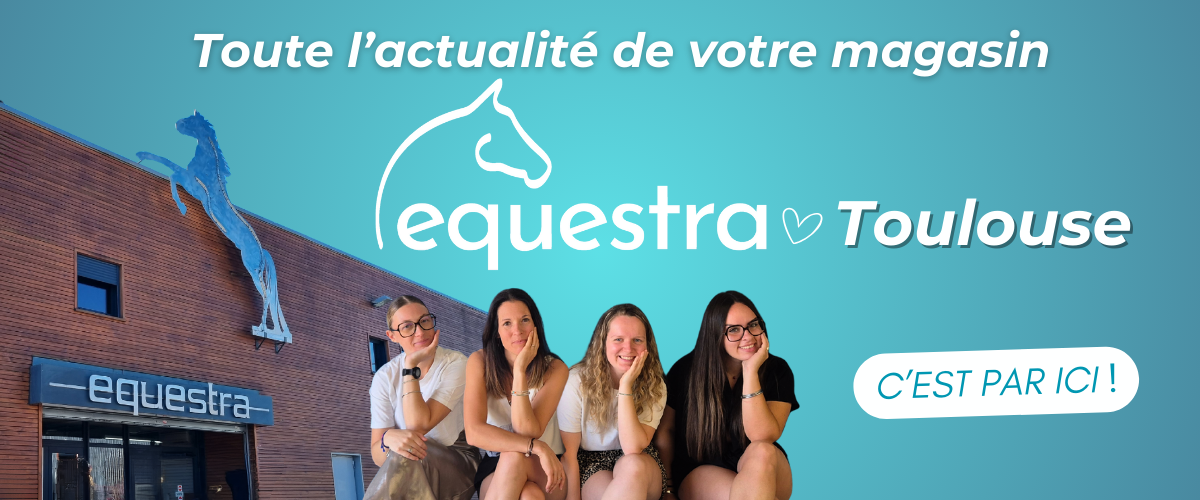 Actualité magasin Equestra Toulouse