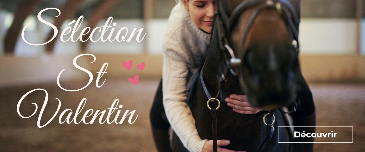 Sélection St Valentin cheval et cavalier