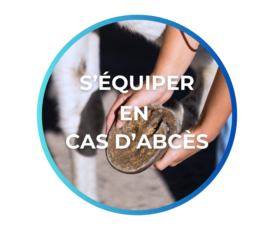 Equipement abcès du cheval