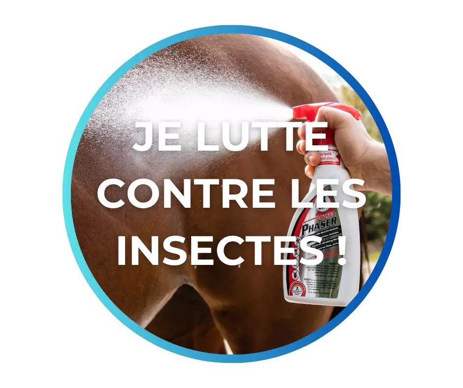 Spray pour lutter contre les insectes