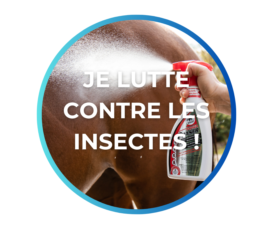 Shampoing pour chevaux