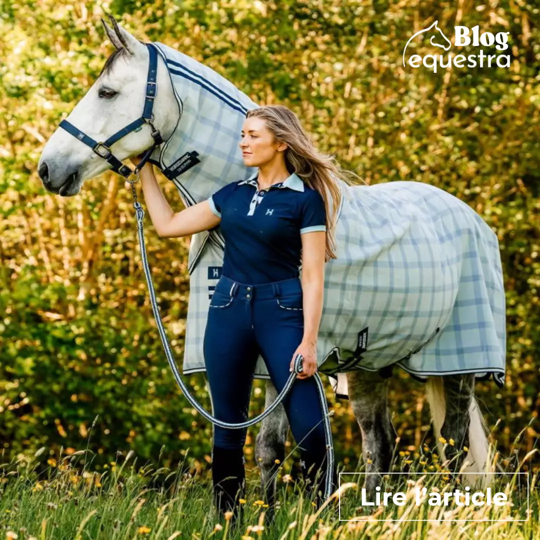 Comment protéger mon cheval des insectes ?