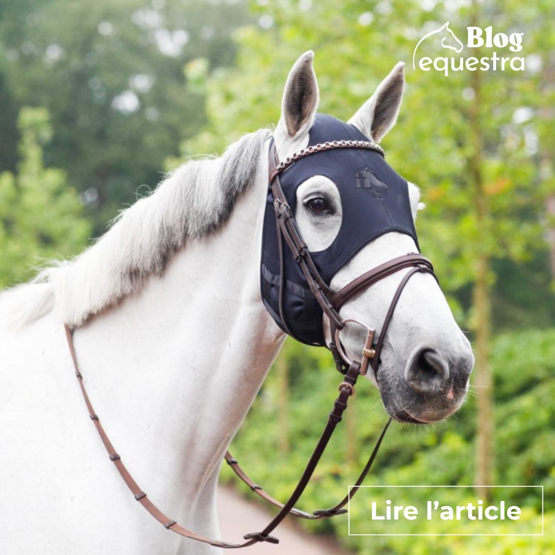 A quoi servent les masques Fenwick ?