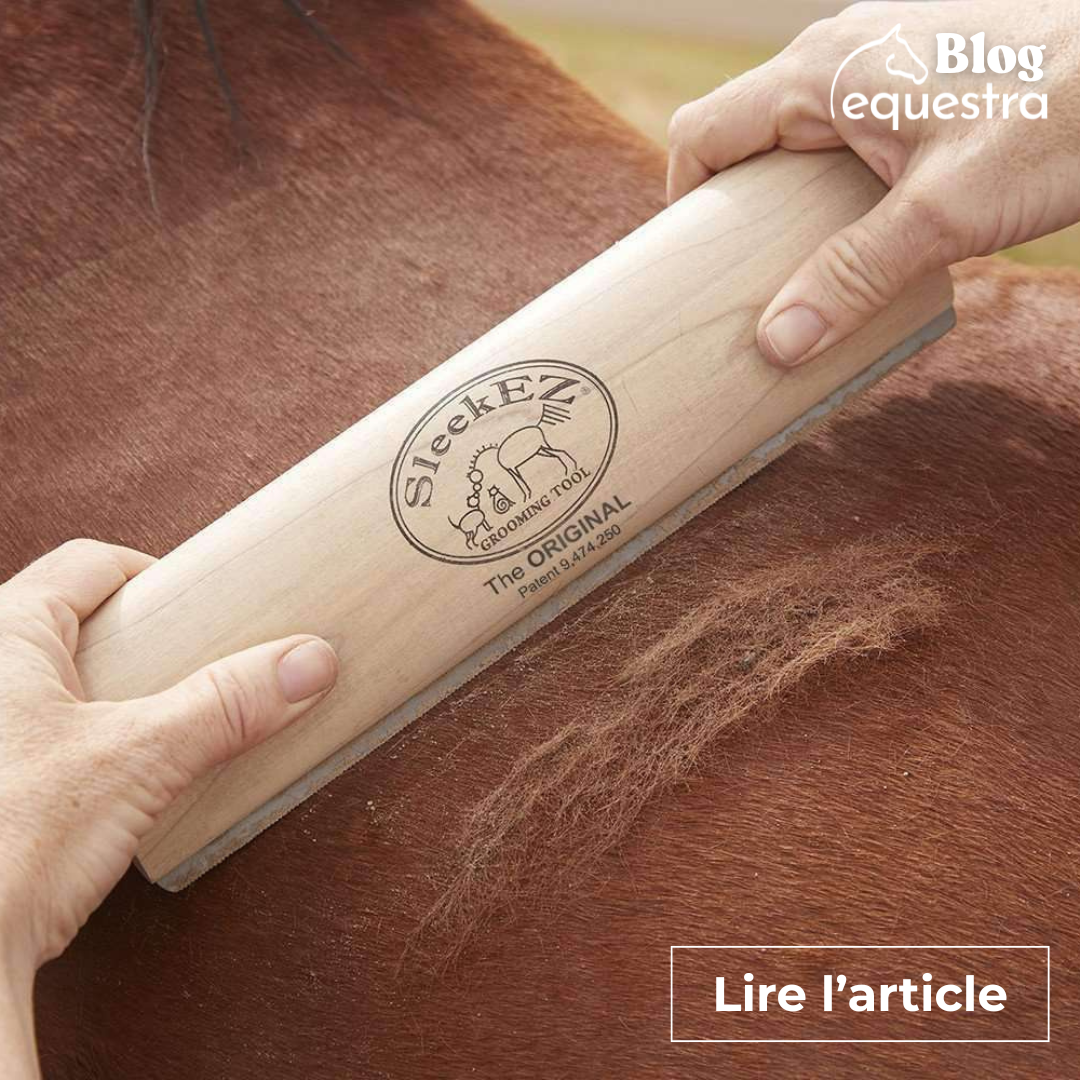 A quoi servent les masques Fenwick ?