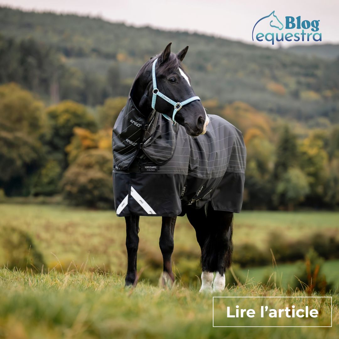 Comment couvrir mon cheval ?