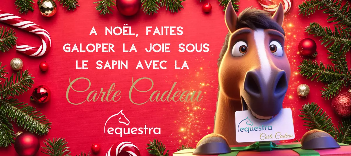 Carte cadeau Equestra