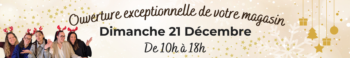 Calendriers de l'avent équitation cheval