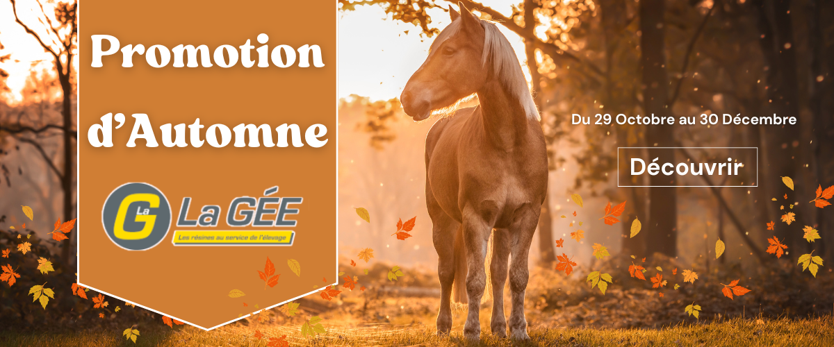 Promotio Automne La Gee