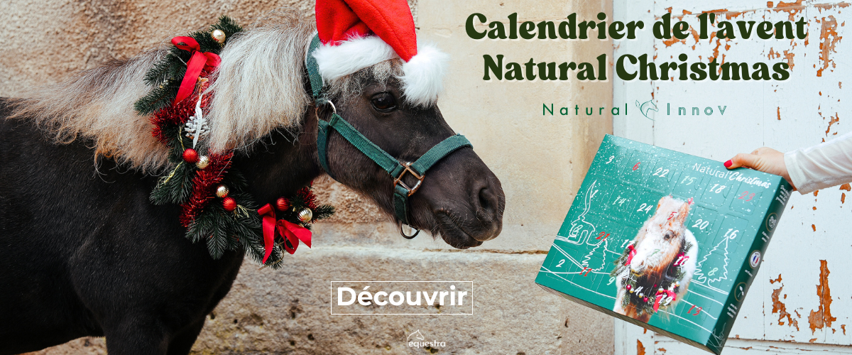 Calendriers de l'avent équitation cheval