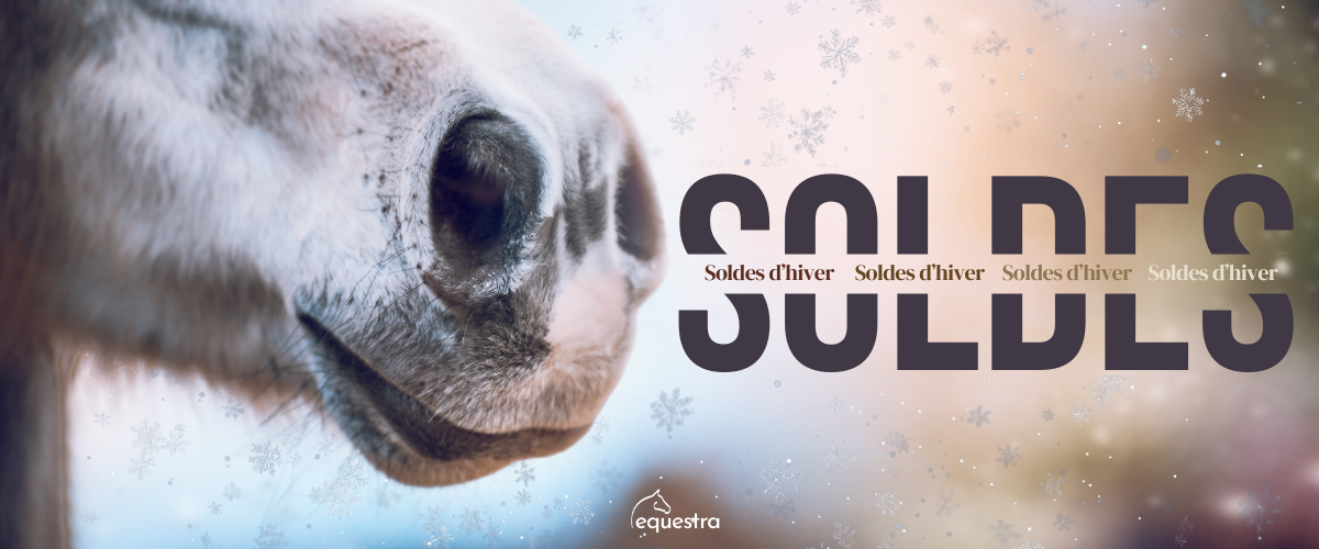 soldes équitation cheval