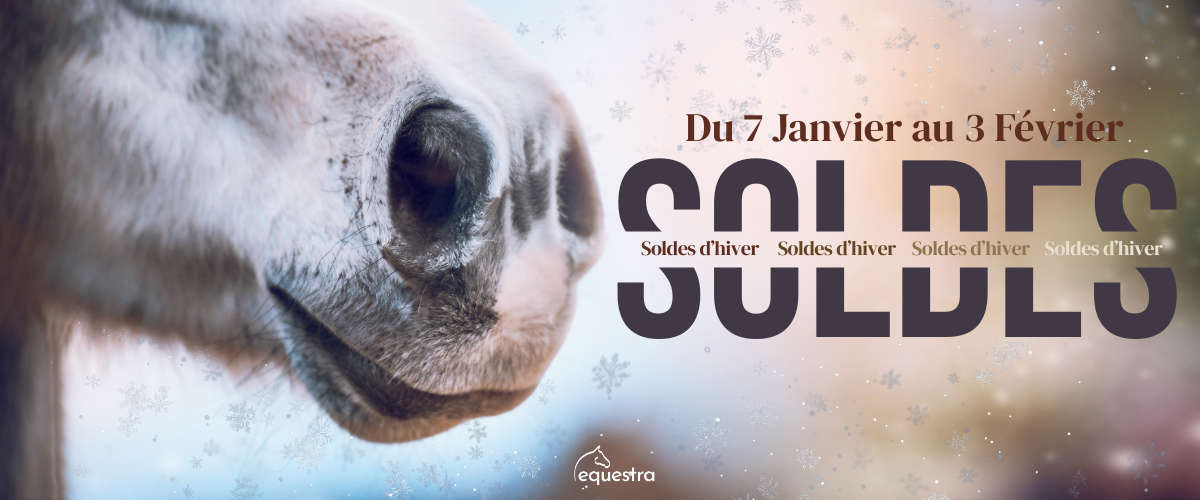 soldes équitation cheval