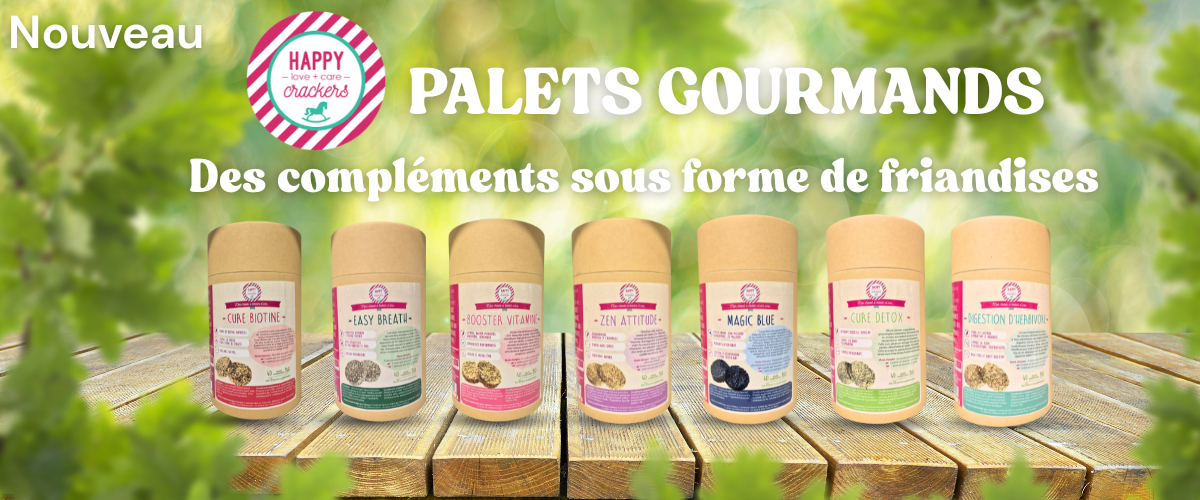 Nouveau palets happy crackers